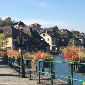 Assistance à Maître d'ouvrage