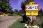 VONGNES